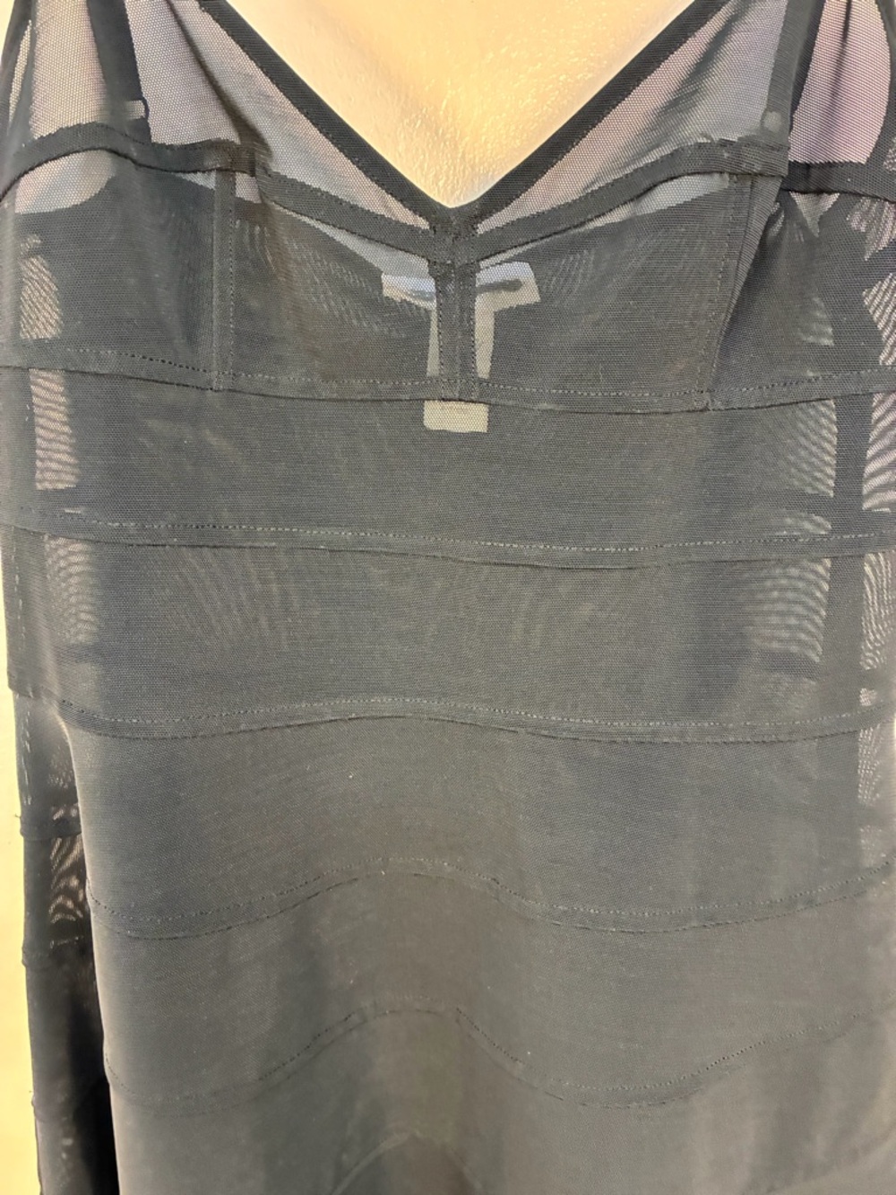 Victoria Secret Atelier x Altuzarra Sheer Panels Mesh Dress - Picture 5 of 12